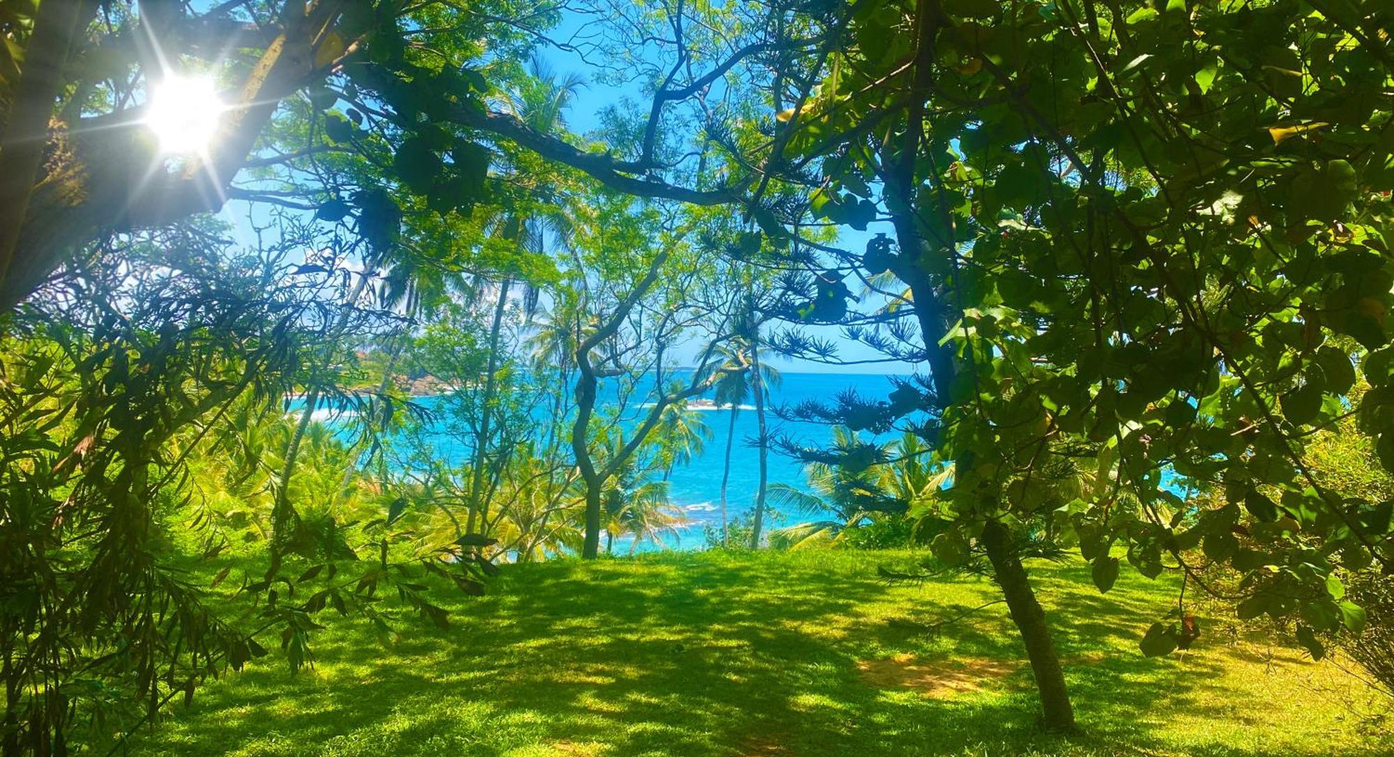 Bluewind Resort Tangalle Extérieur photo